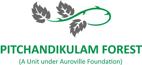 Pitchandikulam Forest Consultants